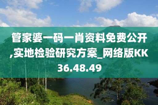 管家婆一码一肖资料免费公开,实地检验研究方案_网络版KK36.48.49