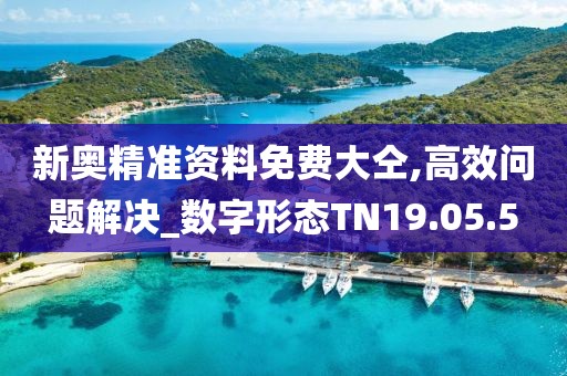 新奥精准资料免费大仝,高效问题解决_数字形态TN19.05.5