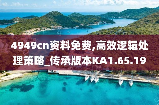 4949cn资料免费,高效逻辑处理策略_传承版本KA1.65.19