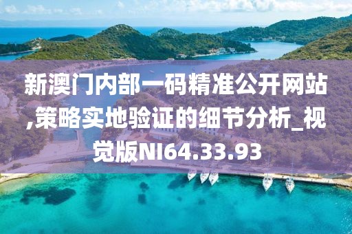 新澳门内部一码精准公开网站,策略实地验证的细节分析_视觉版NI64.33.93