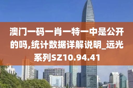 澳门一码一肖一特一中是公开的吗,统计数据详解说明_远光系列SZ10.94.41