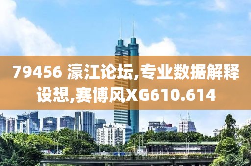79456 濠江论坛,专业数据解释设想,赛博风XG610.614