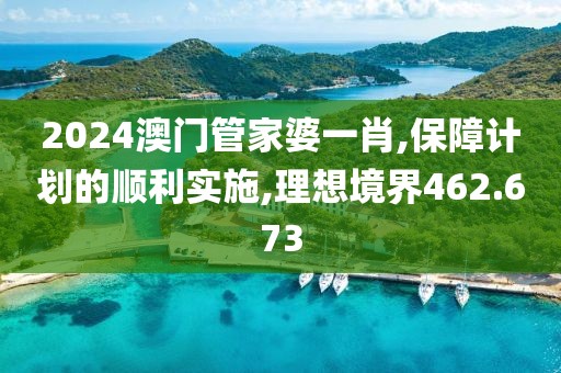 2024澳门管家婆一肖,保障计划的顺利实施,理想境界462.673