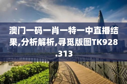 澳门一码一肖一特一中直播结果,分析解析,寻觅版图TK928.313