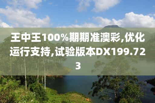 王中王100%期期准澳彩,优化运行支持,试验版本DX199.723