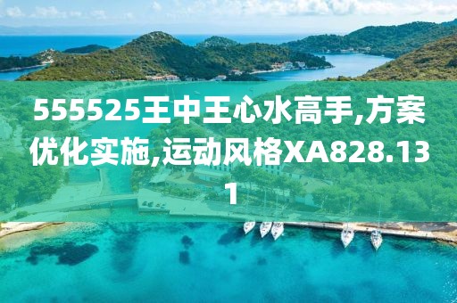 555525王中王心水高手,方案优化实施,运动风格XA828.131