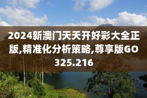 2024新澳门天天开好彩大全正版,精准化分析策略,尊享版GO325.216