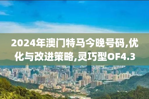 2024年澳门特马今晚号码,优化与改进策略,灵巧型OF4.3