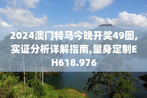 2024澳门特马今晚开奖49图,实证分析详解指南,量身定制EH618.976
