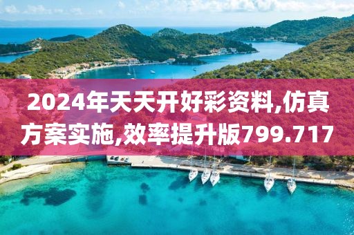 2024年天天开好彩资料,仿真方案实施,效率提升版799.717