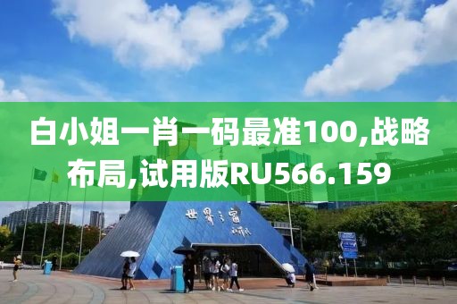 白小姐一肖一码最准100,战略布局,试用版RU566.159