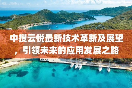 中搜云悦最新技术革新及展望，引领未来的应用发展之路