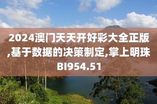 2024澳门天天开好彩大全正版,基于数据的决策制定,掌上明珠BI954.51