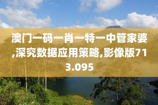 澳门一码一肖一特一中管家婆,深究数据应用策略,影像版713.095
