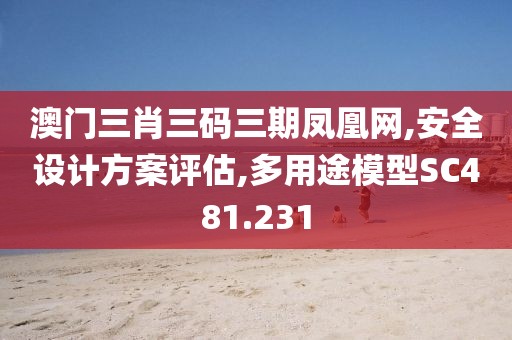 澳门三肖三码三期凤凰网,安全设计方案评估,多用途模型SC481.231