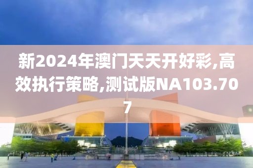 新2024年澳门天天开好彩,高效执行策略,测试版NA103.707