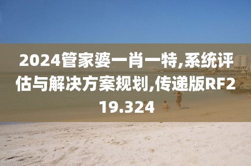 2024管家婆一肖一特,系统评估与解决方案规划,传递版RF219.324