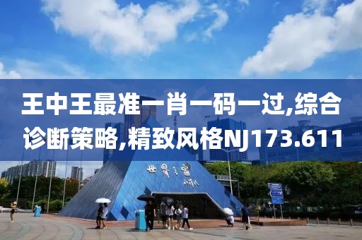 王中王最准一肖一码一过,综合诊断策略,精致风格NJ173.611