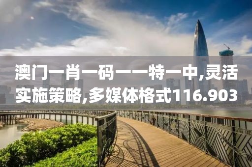 澳门一肖一码一一特一中,灵活实施策略,多媒体格式116.903