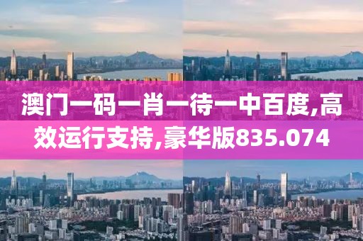 澳门一码一肖一待一中百度,高效运行支持,豪华版835.074