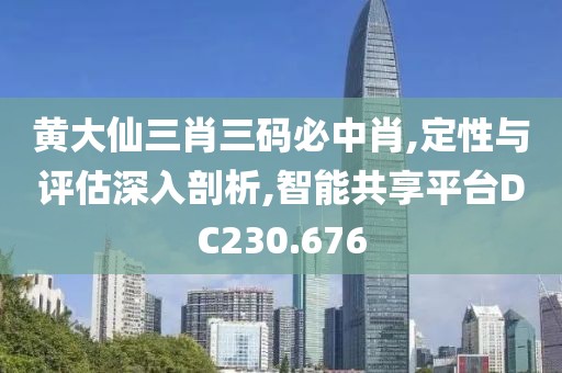 黄大仙三肖三码必中肖,定性与评估深入剖析,智能共享平台DC230.676