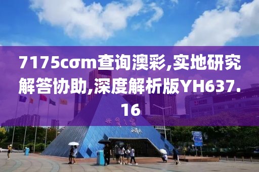 7175cσm查询澳彩,实地研究解答协助,深度解析版YH637.16