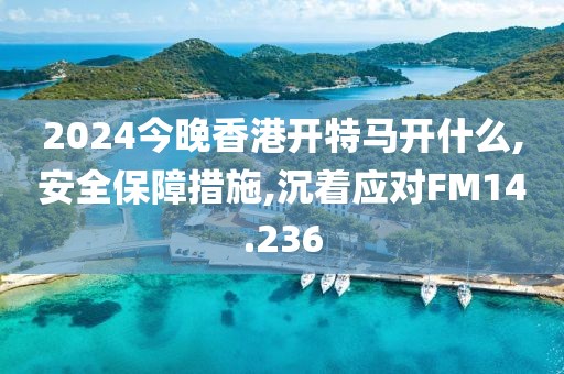 2024今晚香港开特马开什么,安全保障措施,沉着应对FM14.236