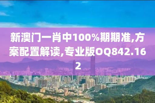 新澳门一肖中100%期期准,方案配置解读,专业版OQ842.162