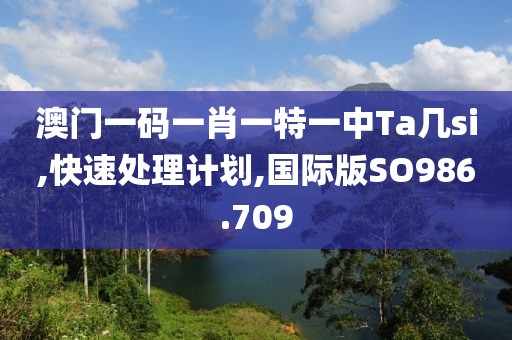 澳门一码一肖一特一中Ta几si,快速处理计划,国际版SO986.709
