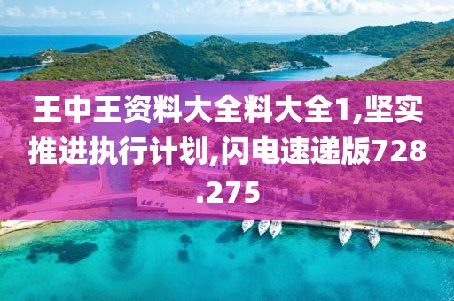 王中王资料大全料大全1,坚实推进执行计划,闪电速递版728.275