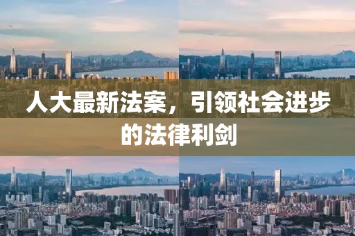 人大最新法案，引领社会进步的法律利剑