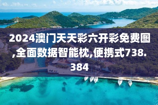 2024澳门天天彩六开彩免费图,全面数据智能枕,便携式738.384