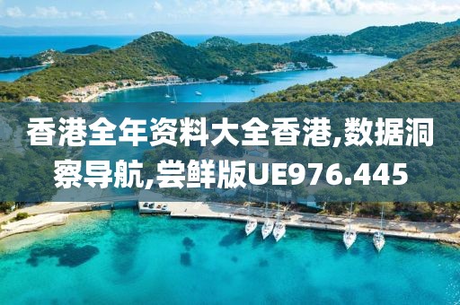 香港全年资料大全香港,数据洞察导航,尝鲜版UE976.445