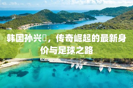 韩国孙兴慜，传奇崛起的最新身价与足球之路