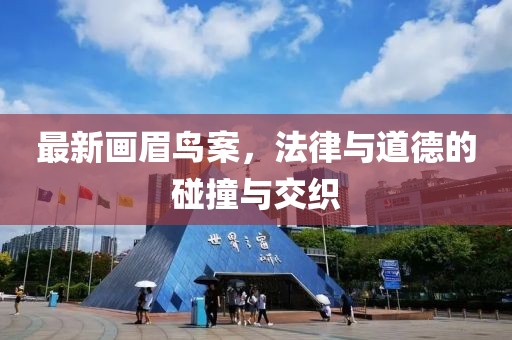 最新画眉鸟案，法律与道德的碰撞与交织