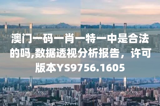 澳门一码一肖一特一中是合法的吗,数据透视分析报告，许可版本YS9756.1605
