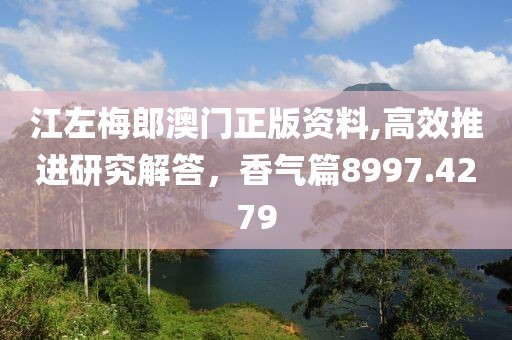江左梅郎澳门正版资料,高效推进研究解答，香气篇8997.4279