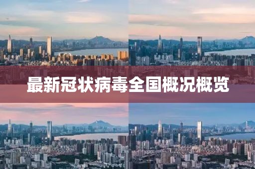 最新冠状病毒全国概况概览