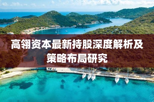 高翎资本最新持股深度解析及策略布局研究