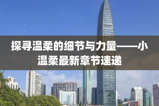 探寻温柔的细节与力量——小温柔最新章节速递