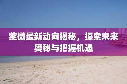 紫微最新动向揭秘，探索未来奥秘与把握机遇