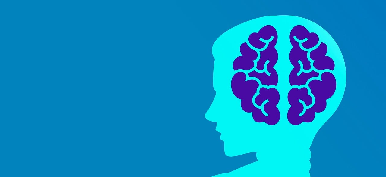 辽宁最新疫情隔离规定，科学防控，精准施策的策略解读