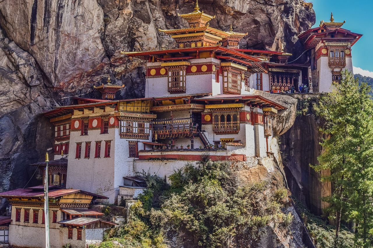 最新青城山，自然美景与文化底蕴的绝佳融合之旅
