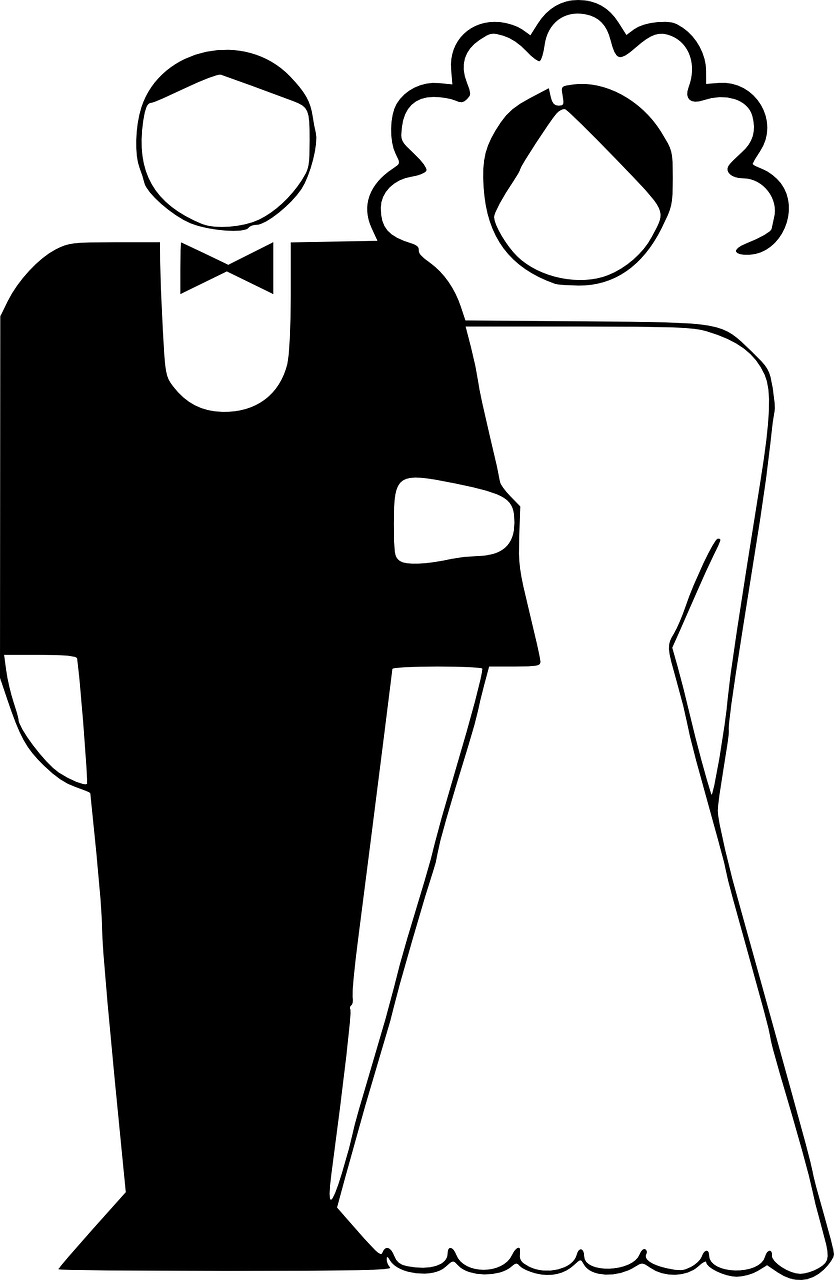 白猿搜书最新动态及深度解析