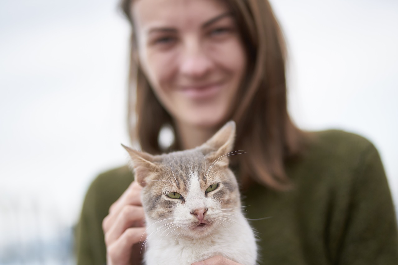 最新款猫包，时尚与舒适的完美融合