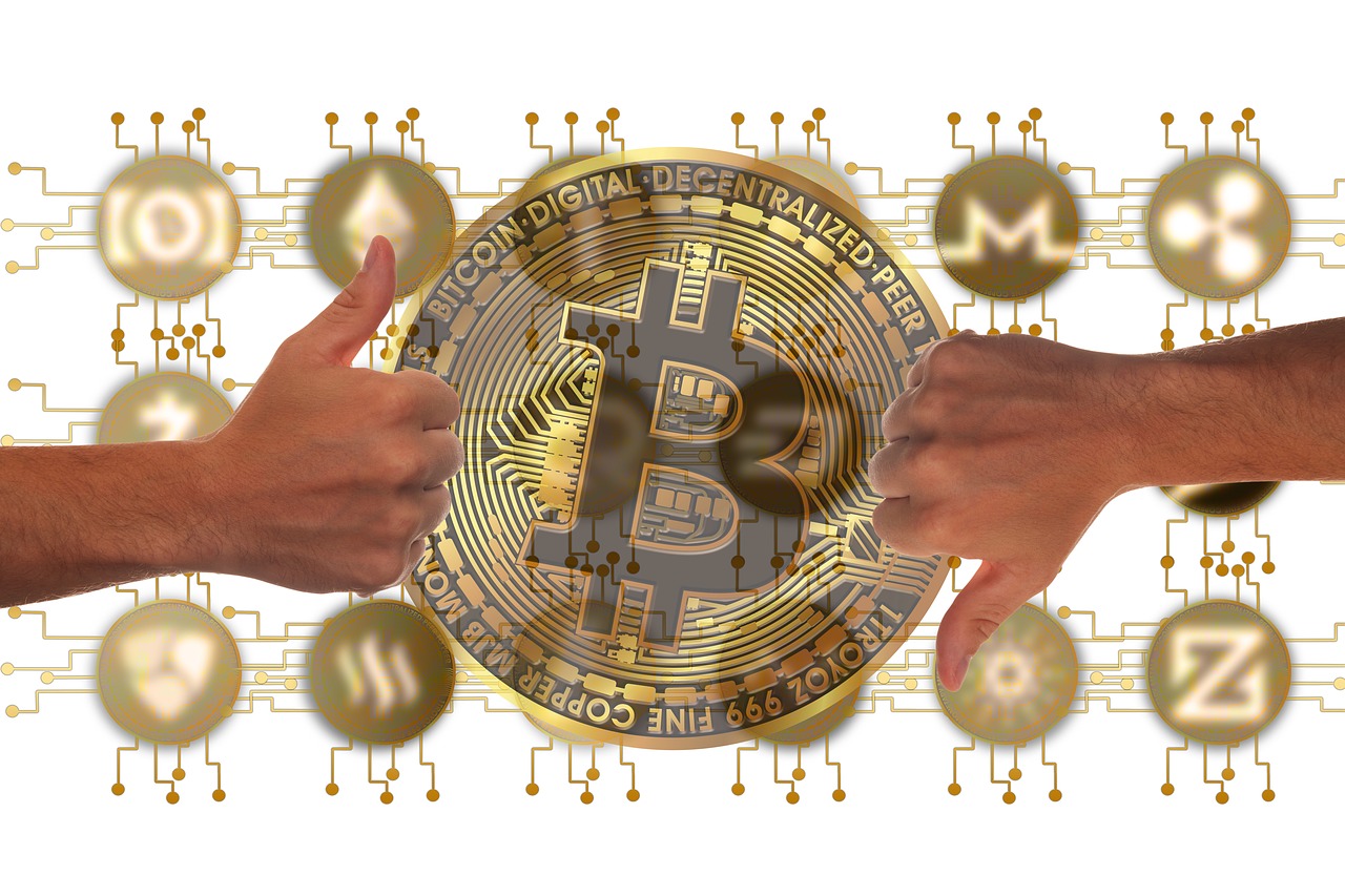 柚子EOS币最新价格动态及市场分析概述