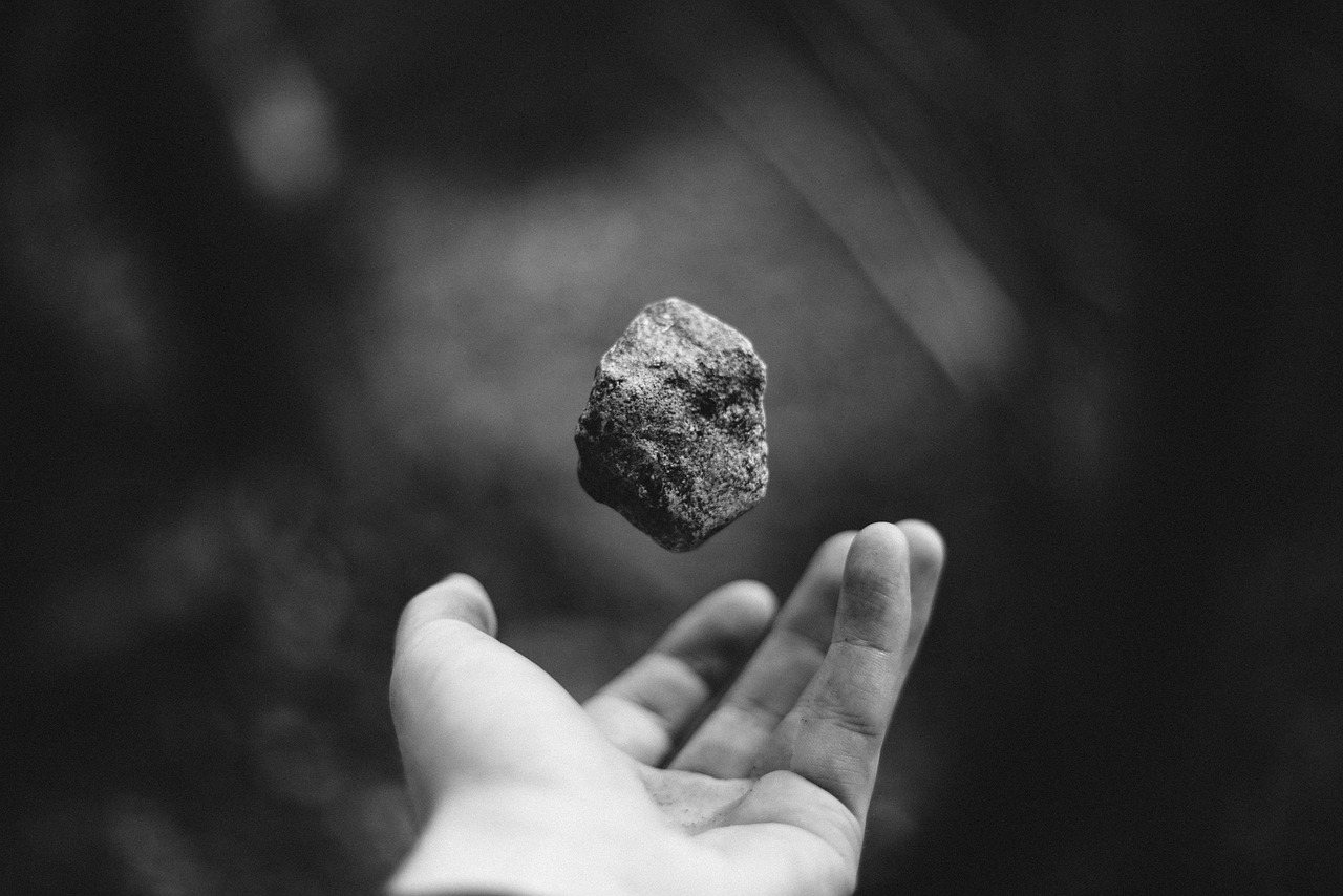 精子窝最新网站研究，探索微观世界的奥秘新发现