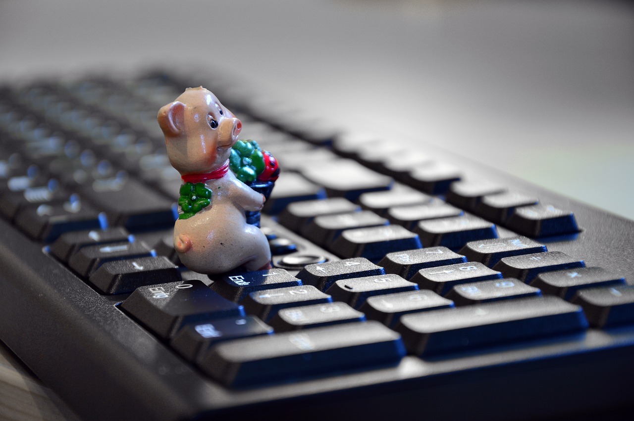 Win11最新电脑，独特魅力探索
