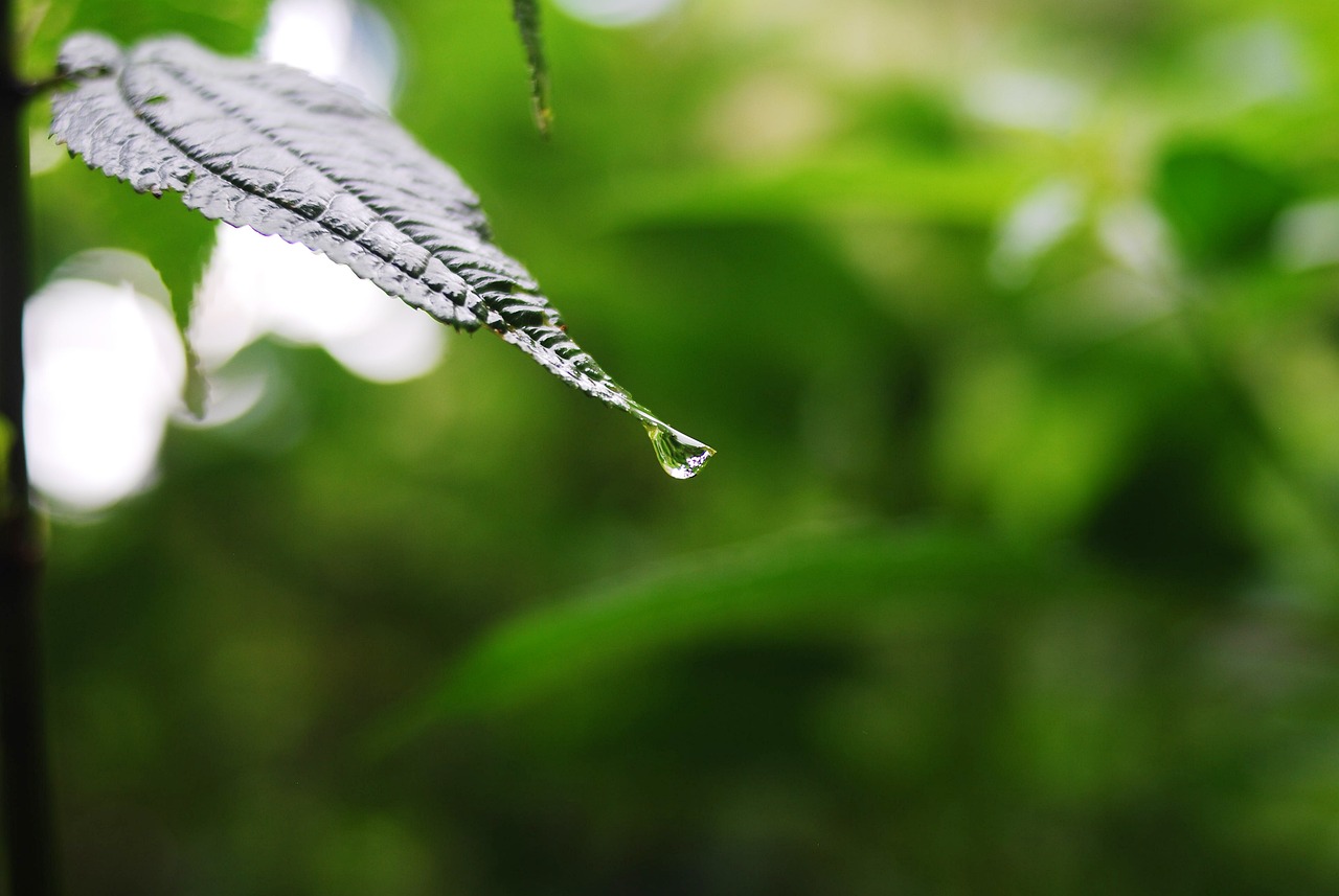 中能股票最新行情深度解析与动态速递