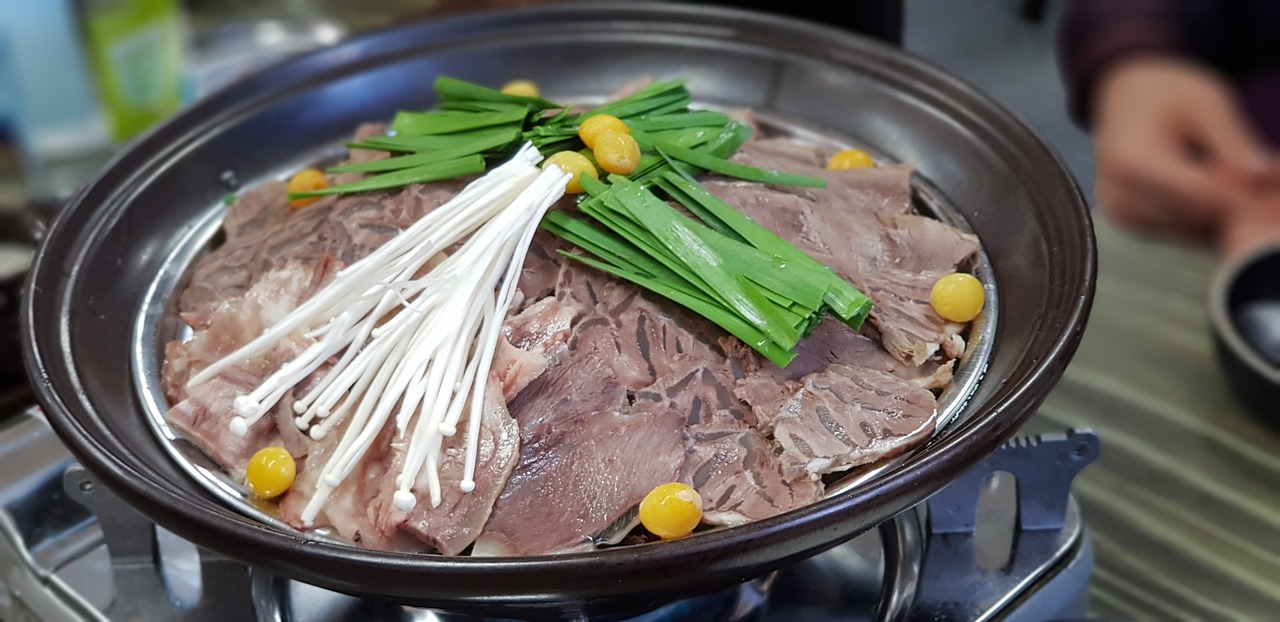 二又最新吃播动态，美食之旅再启新篇章